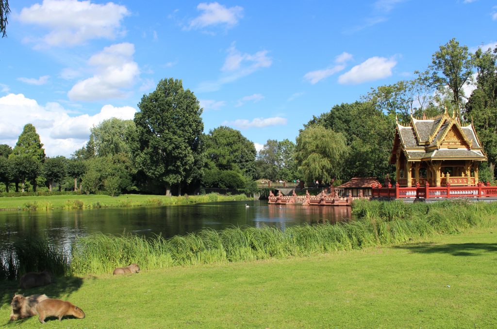 Beautiful setting at Hamburg's Zoo Germany Hagenbeck